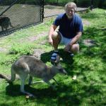 2011:  Don with Kangaroos in Sydney AUSTRALIA

